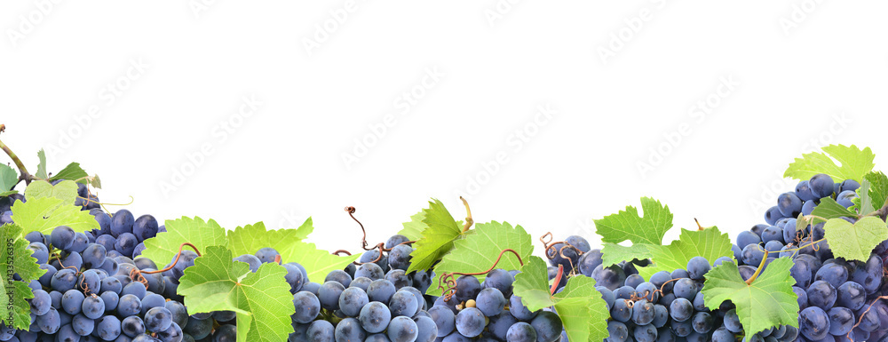 Grape fruit isolated