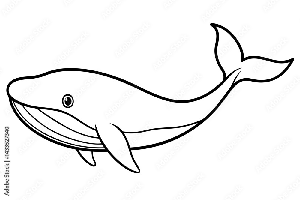 Simple Whale Sketch Vector Simple Whale Sketch Vector