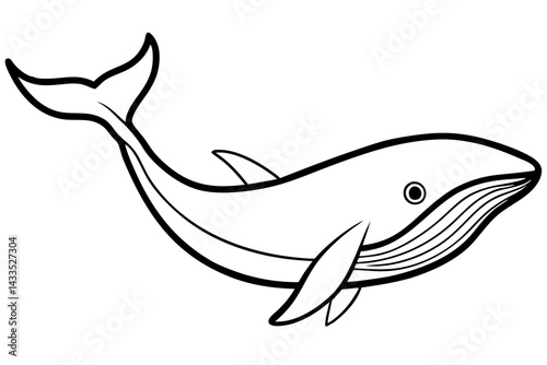 Simple Whale Sketch Vector