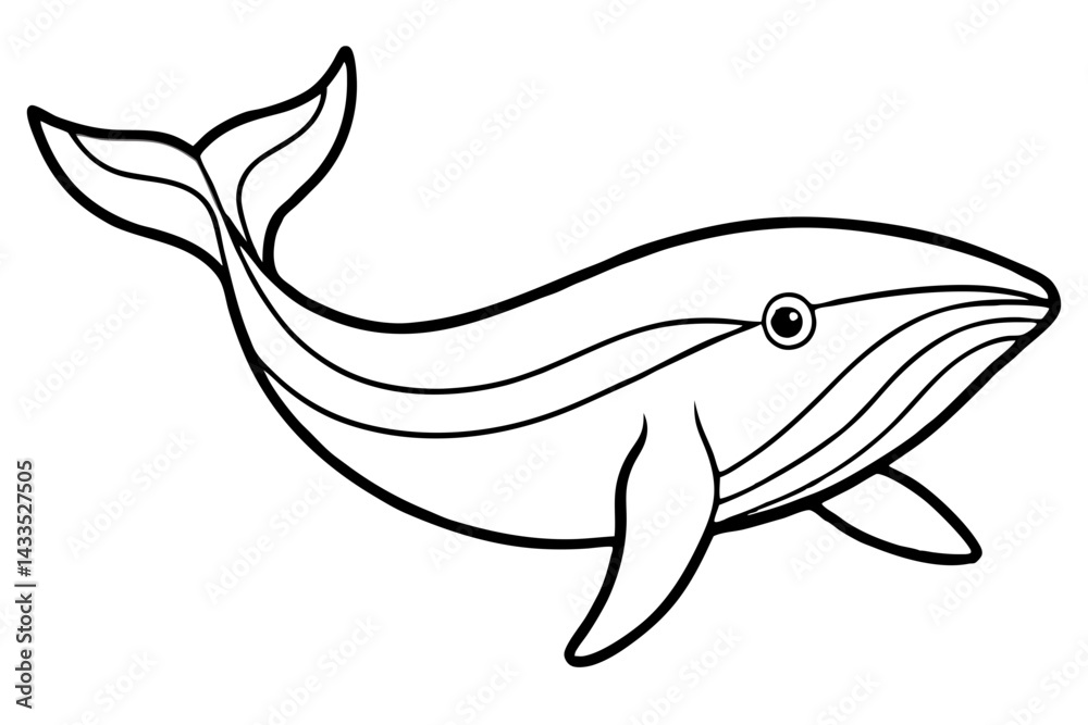 Fototapeta premium Simple Whale Sketch Vector