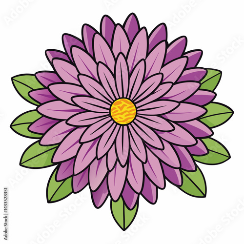 pink dahlia flower