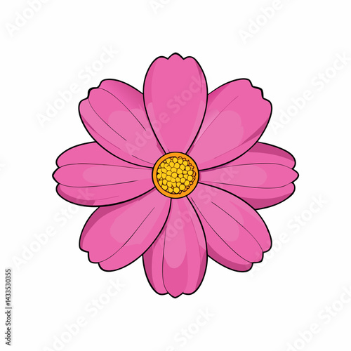 pink flower isolated on white background