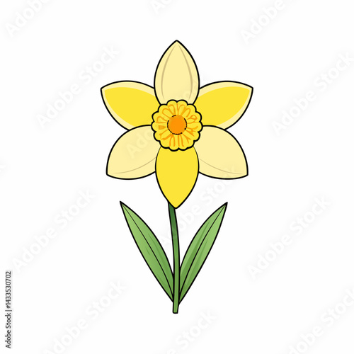 yellow daffodil flower