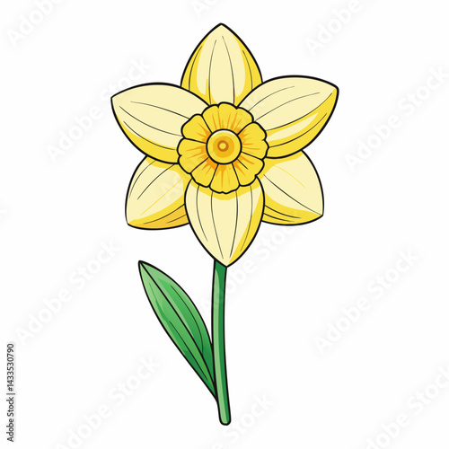 yellow daffodil flower