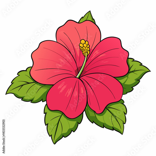 red hibiscus flower