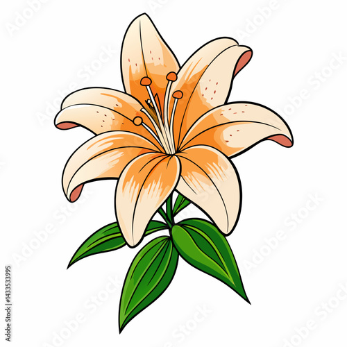 orange lily flower