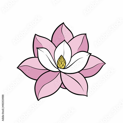pink lotus flower