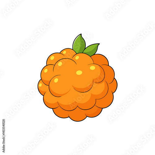 vector illustration of an orange fruit