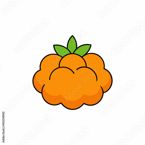 orange fruit vector illustration