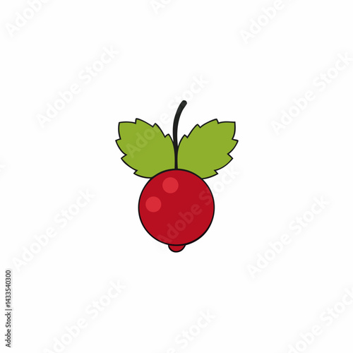 red currant isolated on white
