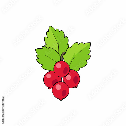 red currant isolated on white