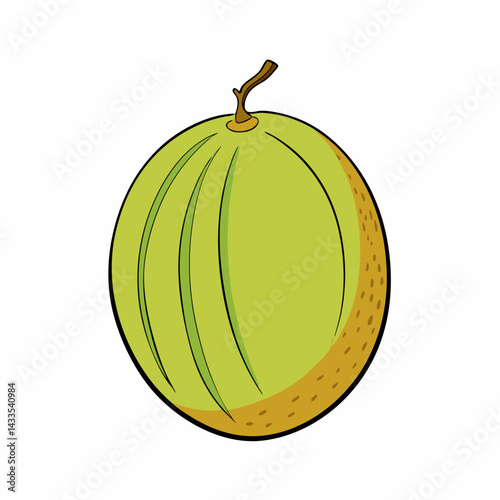 melon isolated on white background