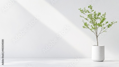 A small potted plant with green leaves standing on a white surface, minimalist interior design, natural light streaming from the side, and serene and calm atmosphere.