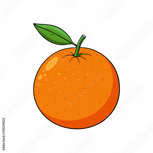 orange fruit vector illustration