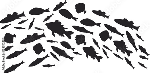 black silhouettes of fishes,Swimming group of fishes on white background,Set of  different fish hand drawn