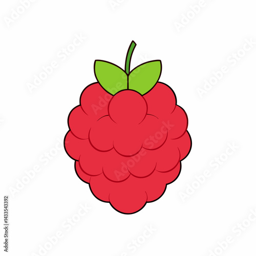 raspberry isolated on white
