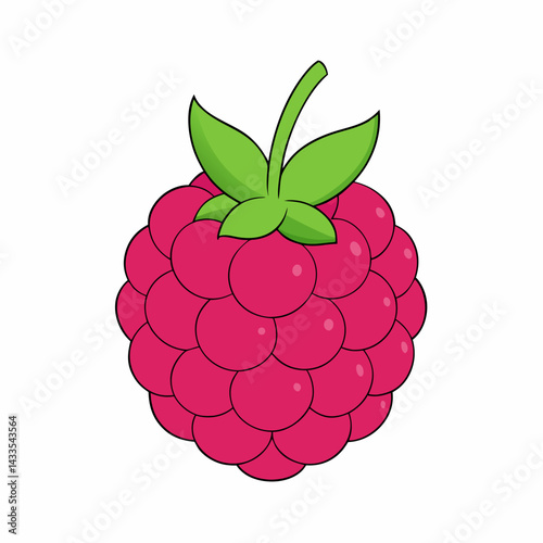 vector illustration of ripe raspberries