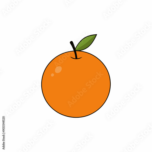 orange fruit vector illustration