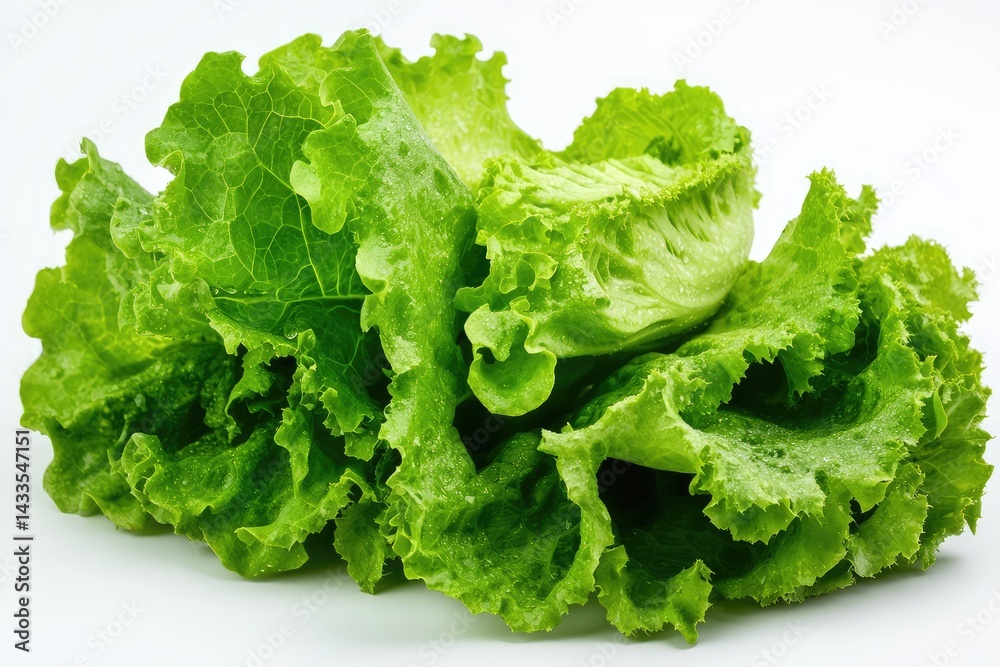 Green lettuce leaves. AI generated illustration. Green lettuce leaves. AI generated illustration.