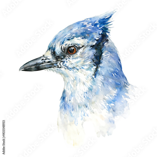 Captivating Jay Bird Head Portrait in Blue Hue Isolated Hand Drawn Watercolor Painting Illustration
