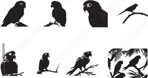 Birds Silhouettes on Branches