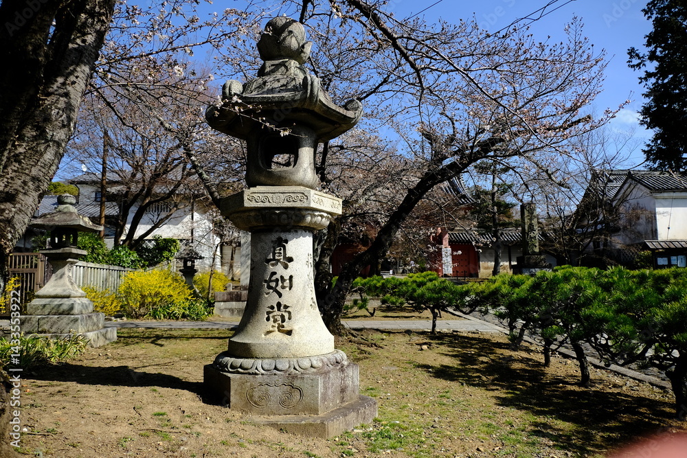 Obraz premium 京都、真如堂、庭園、佛寺、寺院、文化財、木造建築、古代建築、日本文化、歷史名勝、紅葉名所、木