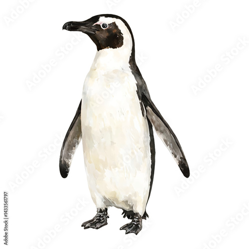 Gentoo Penguin Standing Pose Isolated Hand Drawn Watercolor Painting Illustration Artwork