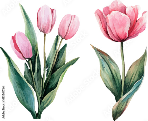 bouquet of pink tulips