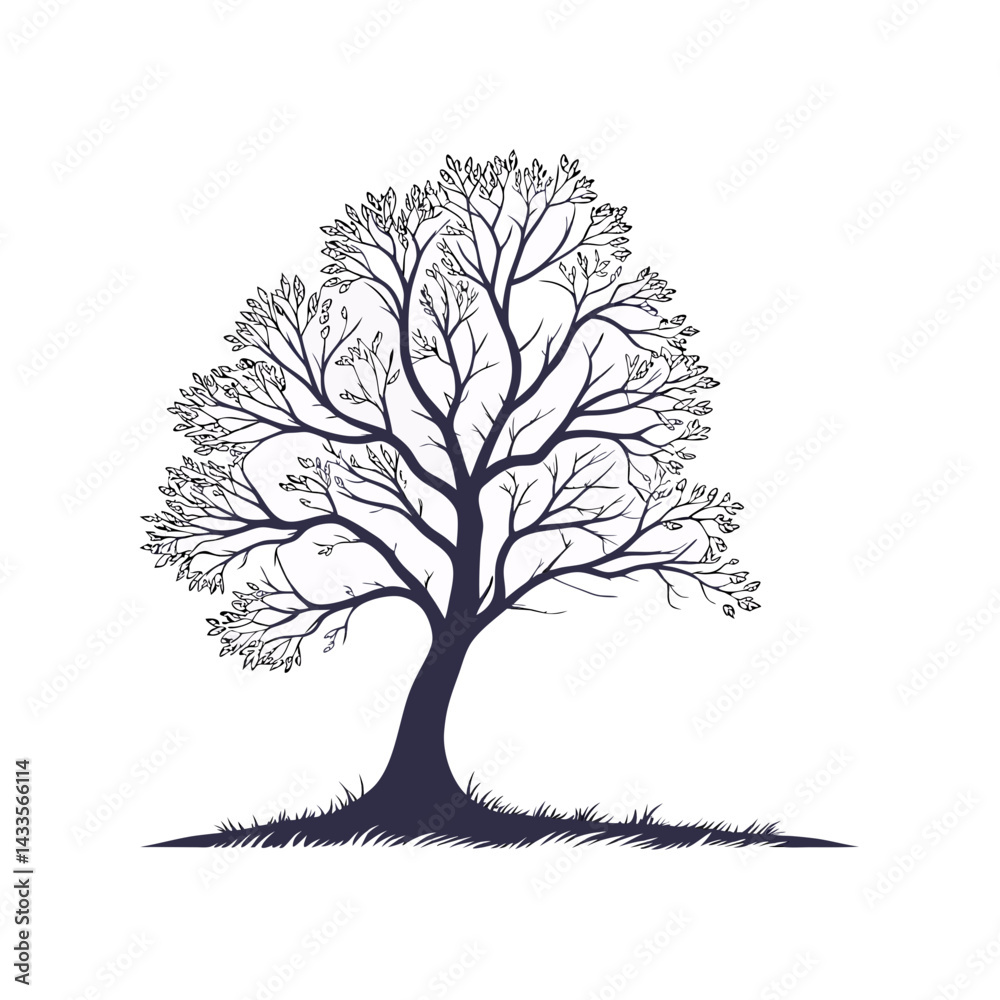 Obraz premium Silhouette Tree with Branch Details