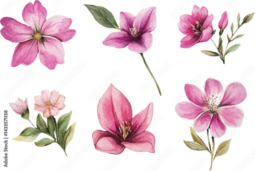 Fototapeta premium set of pink flowers