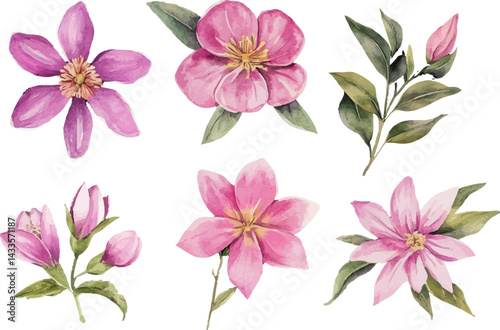 bouquet of pink lilies