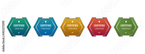 Certificate badge or award for company template vector illustration	