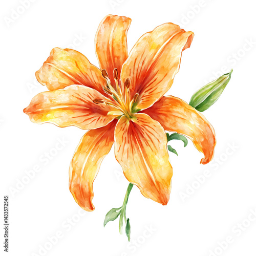 Graceful Lily Flower with Green Leaves Isolated Hand Drawn Watercolor Painting Illustration