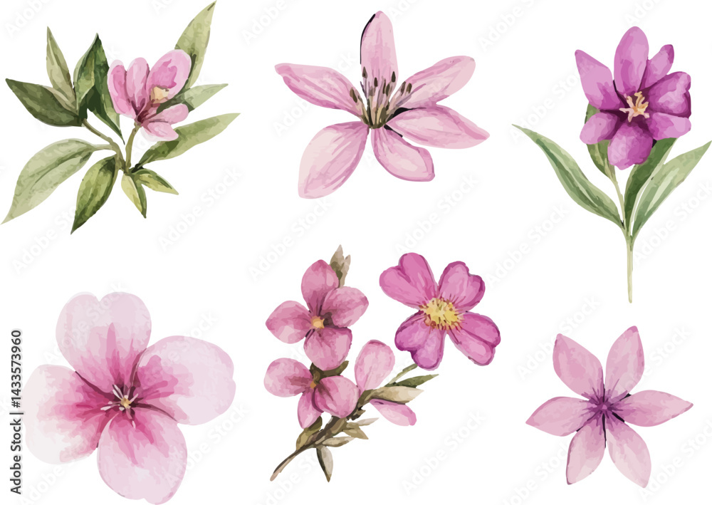 set of pink flowers set of pink flowers