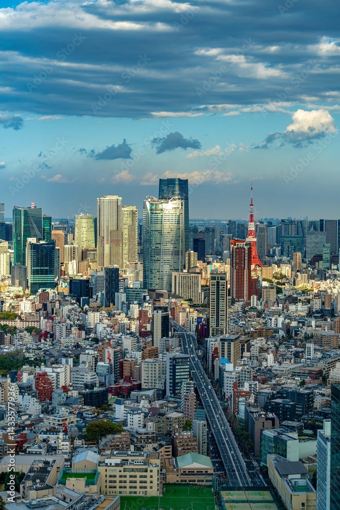 Fototapeta premium new york city skyline