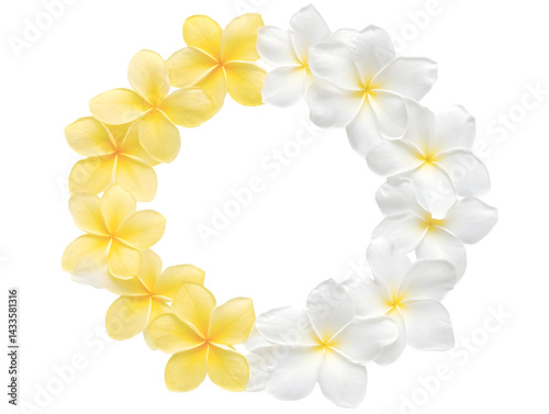 Obraz na płótnie Realistic Floral Wreath Of White And Yellow Flowers On Black Background w salonie