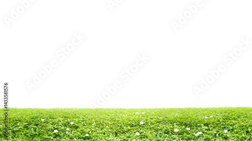 Realistic Green Grass Field Isolated on Transparent Background
