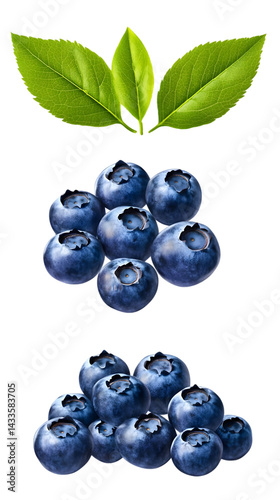 Obraz na płótnie Realistic Isolated Blueberry Fruit Illustration With Green Leaves on Black Background w salonie