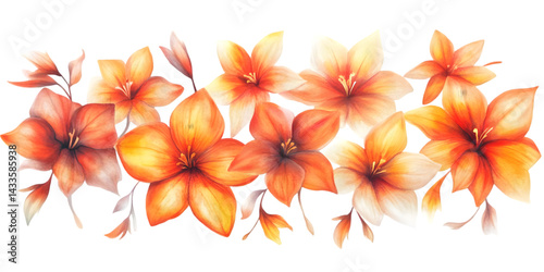 Realistic Watercolor Illustration of Orange Flowers on Transparent Background