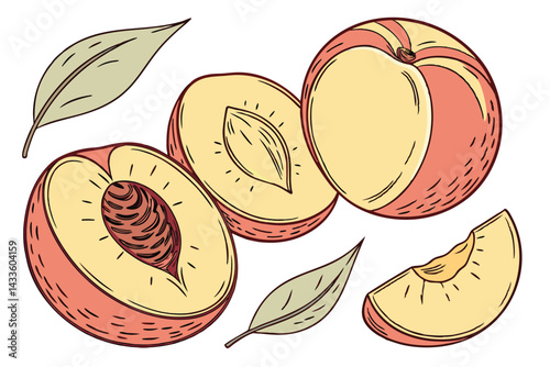 82 Photorealistic peaches, vibrant yellow and red skin, soft fuzzy texture, ripe fruit, natural lighting, closeup detail, white background, botanical illustration style, high resolution, food photogra