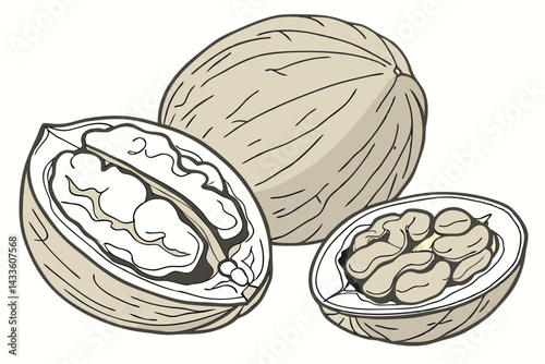 84 Realistic walnuts, macro photography, detailed textures, cracked open walnut shells, walnut kernels, beige and brown tones, isolated on white background, high contrast, studio lighting, food photog