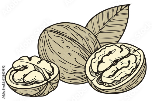 84 Realistic walnuts, macro photography, detailed textures, cracked open walnut shells, walnut kernels, beige and brown tones, isolated on white background, high contrast, studio lighting, food photog