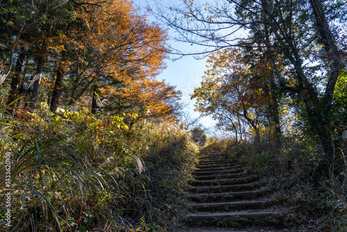 Minami Takao Seven Summits Trail 