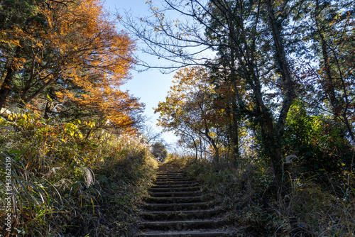 Minami Takao Seven Summits Trail 