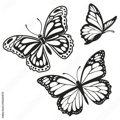 set of butterfly