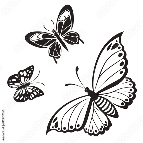 black and white butterfly