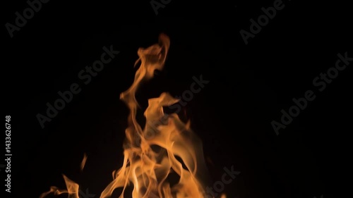 Fire on black background. Isolated fire on black background. Flame on black background.