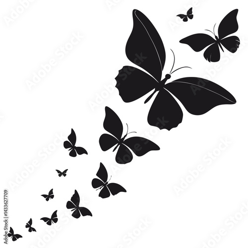 black and white butterflies