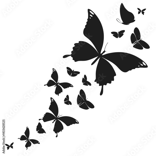 butterfly and leaves