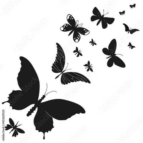 butterfly on a branch